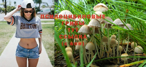 MESCALINE Каменногорск